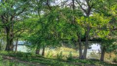 cabin_002_7808_1440