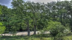 cabin_002_7793