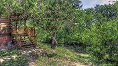 cabin_002_7798