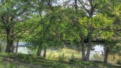 cabin_002_7808