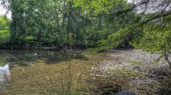 cabin_002_7913