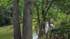 frio_river_6519_20_21