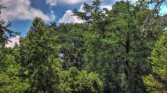 frio_river_6547_8_9