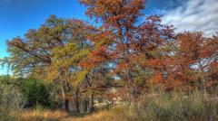 img_6946_7_8