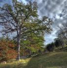 img_6961_2_3_stitch