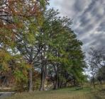 img_7006_7_8_stitch
